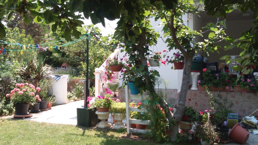 Apartments Romantica Sabunike Privlaka  Dış mekan fotoğraf